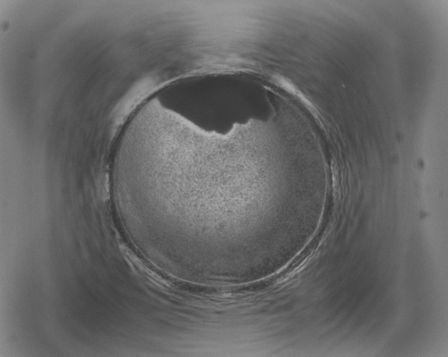 X0000080161459200612221214