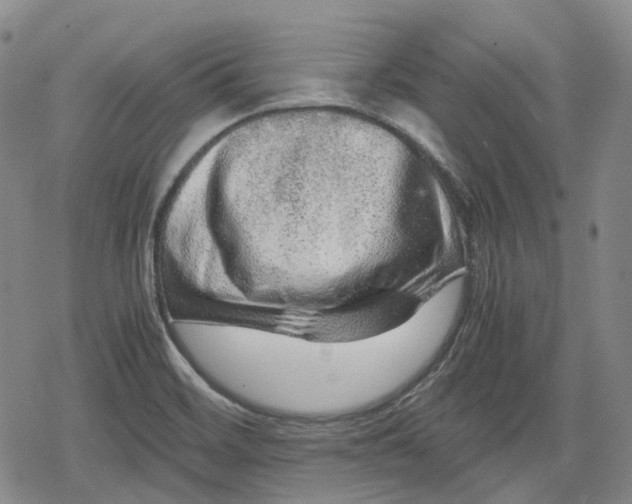 X0000080161468200612221214