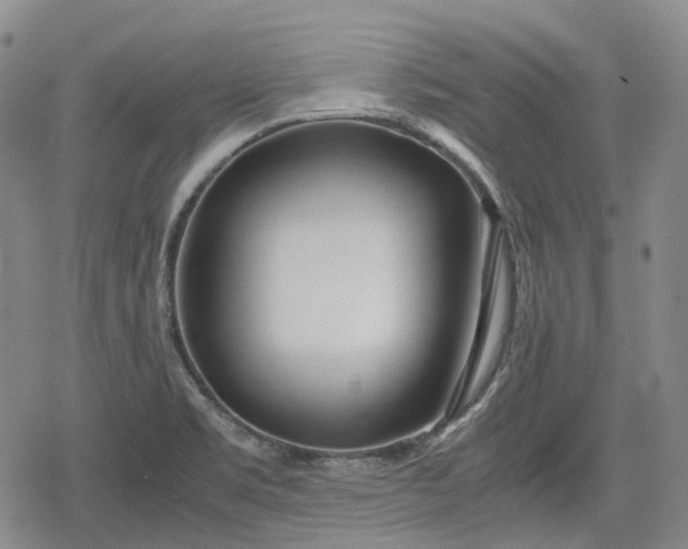 X0000080161469200612221214