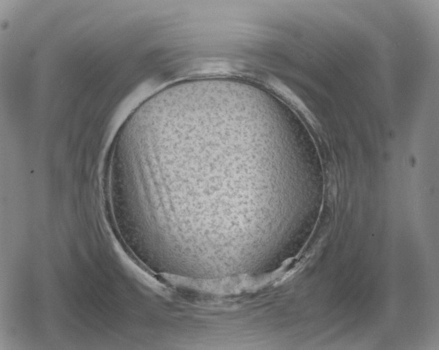 X0000080161475200612221213
