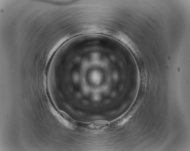 X0000080161476200612221213