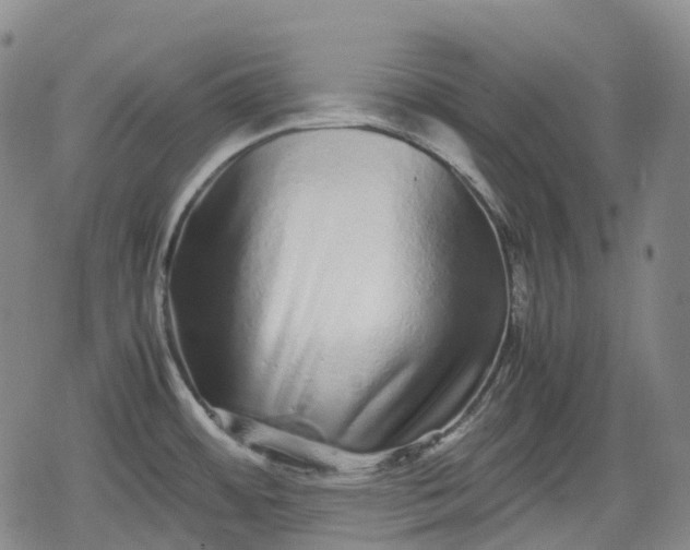 X0000080161484200612221213