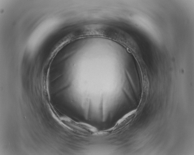 X0000080161487200612221213