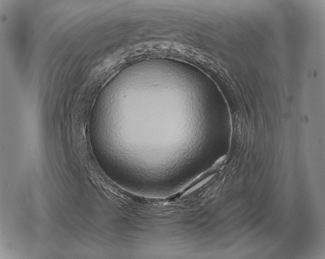 X0000080161489200612221212