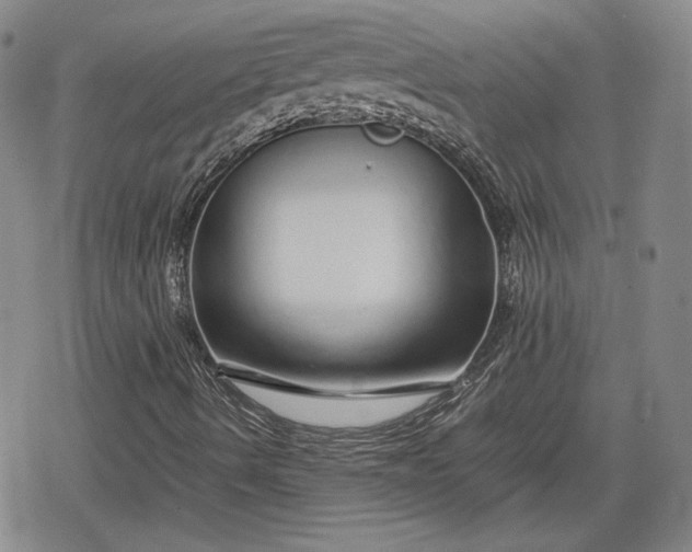 X0000080161490200612221212