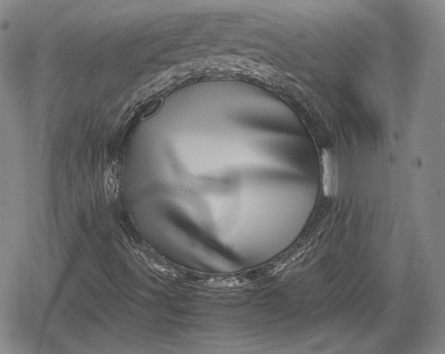 X0000080161491200612221213
