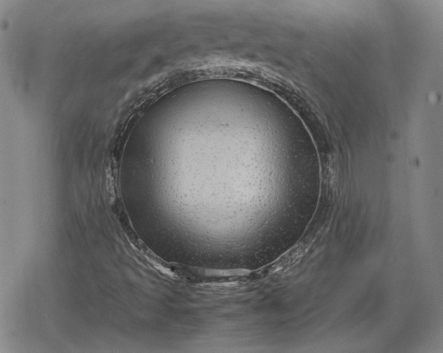 X0000080161493200612221213