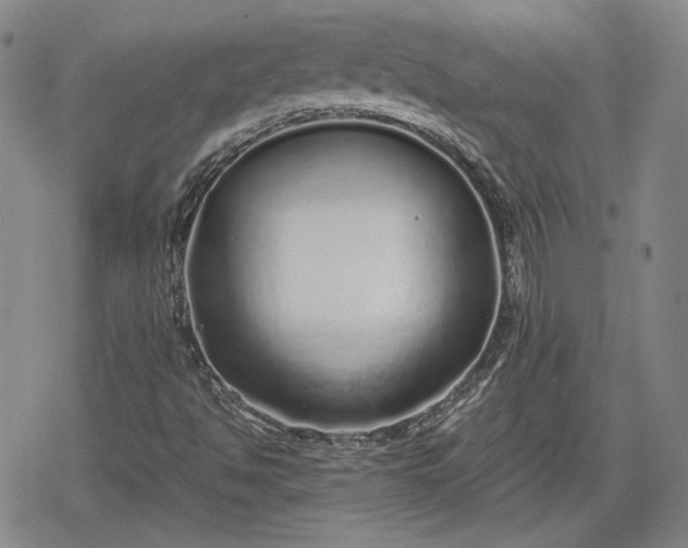 X0000080161494200612221213
