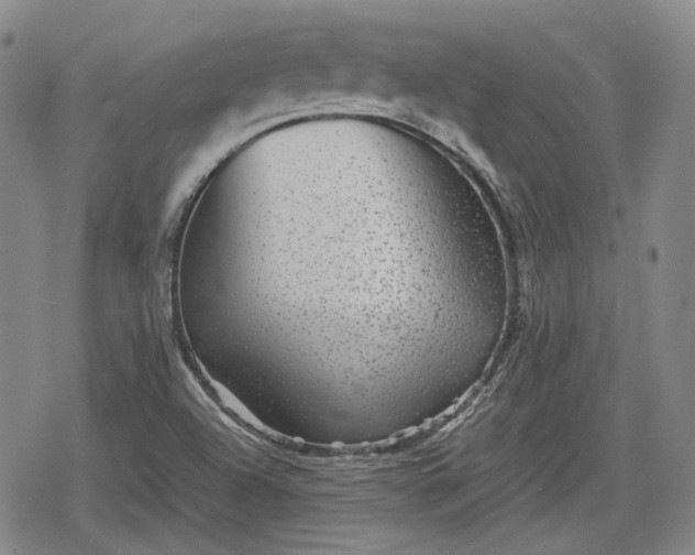 X0000080161504200612221213