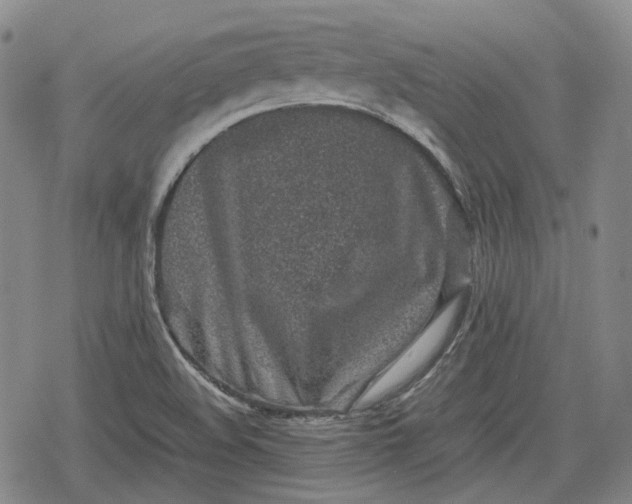 X0000080161508200612221213