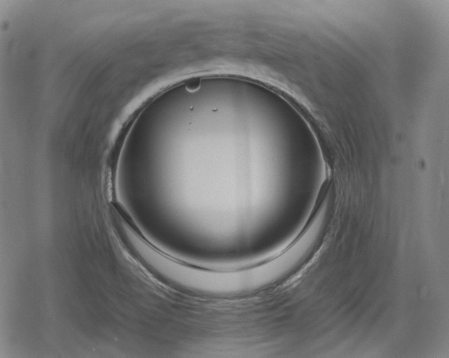 X0000080161510200612221213