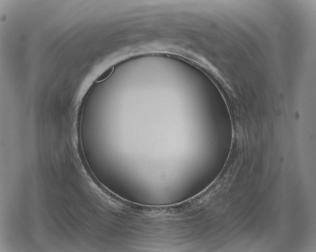 X0000080161512200612221213