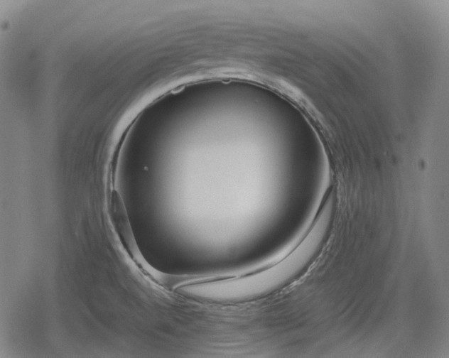 X0000080161520200612221213