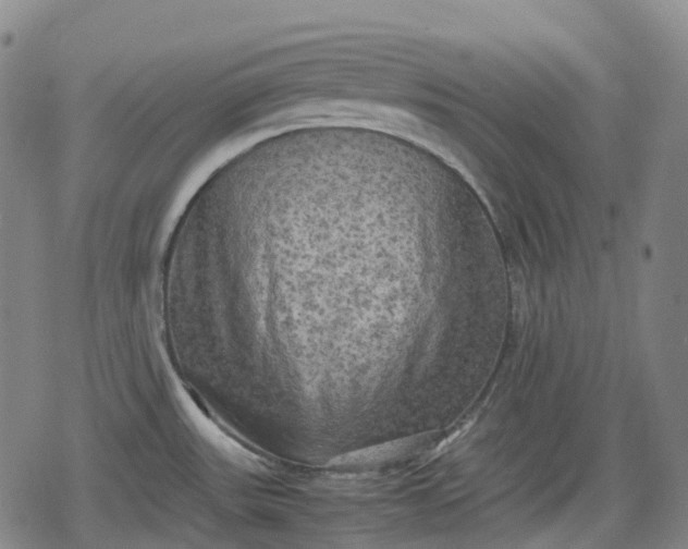 X0000080161531200612221213