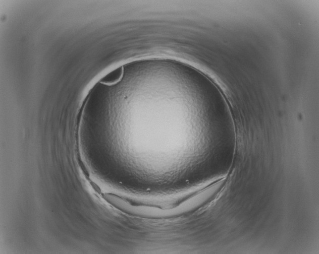 X0000080161534200612221213
