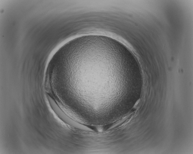 X0000080161536200612221213