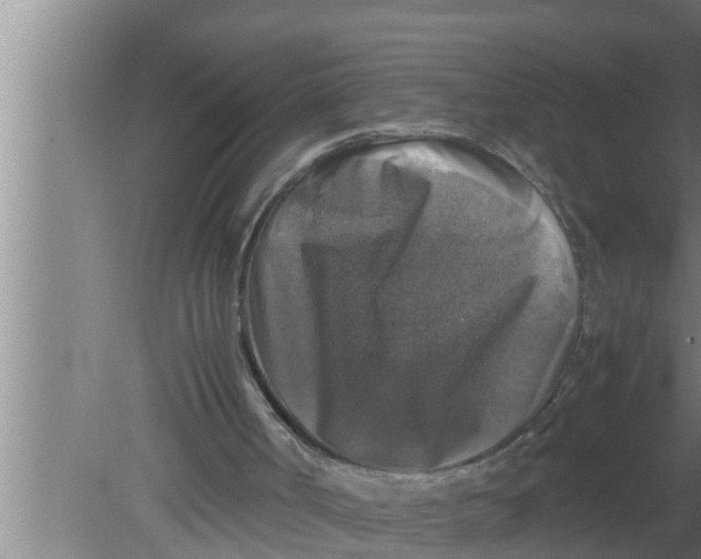 X0000080160002200612302205