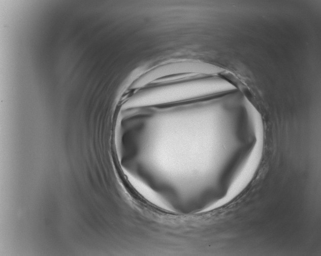 X0000080160003200612302205