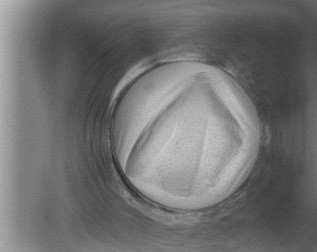 X0000080160004200612302205