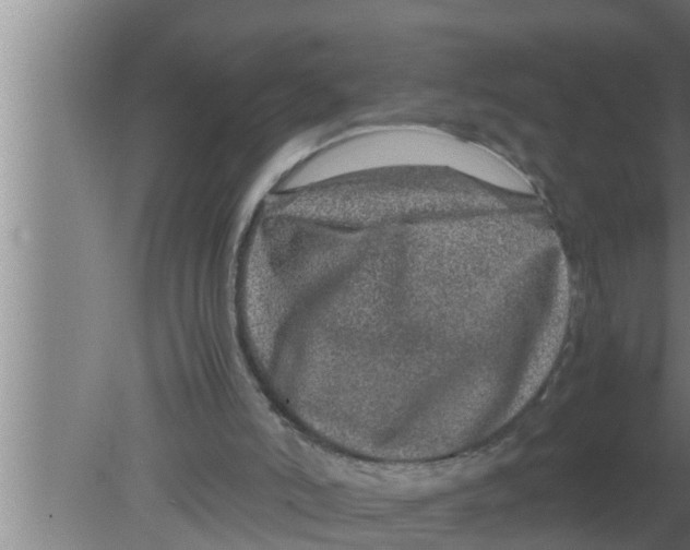 X0000080160006200612302205