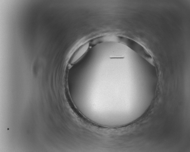 X0000080160007200612302205