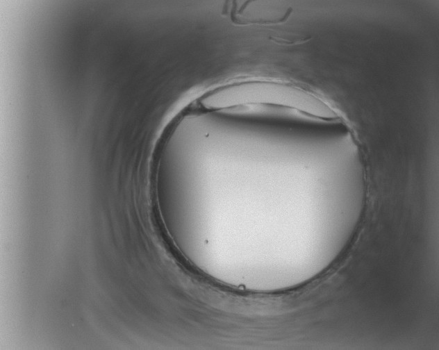 X0000080160008200612302205