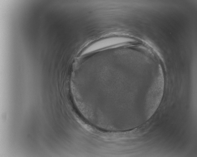 X0000080160009200612302205