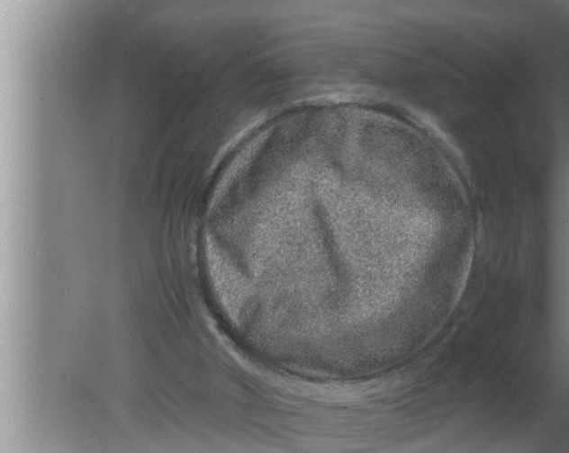 X0000080160010200612302205