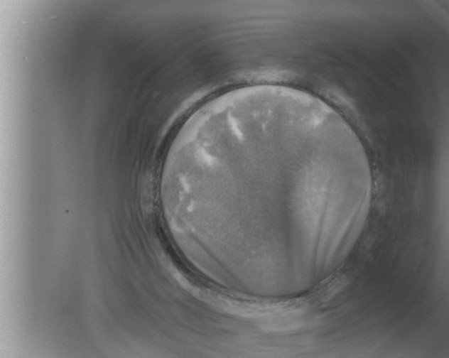 X0000080160012200612302205