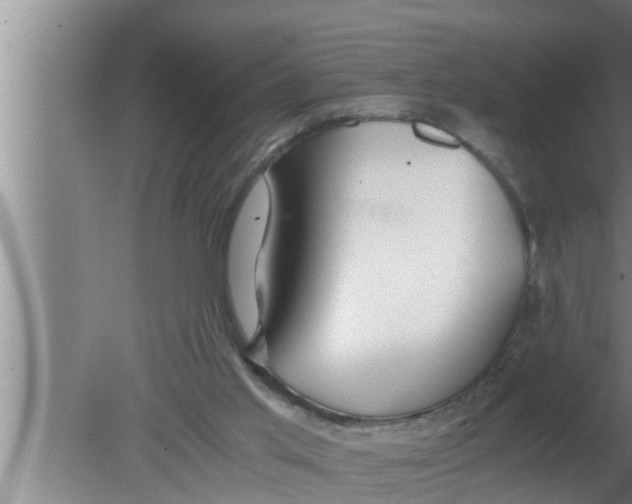 X0000080160013200612302205