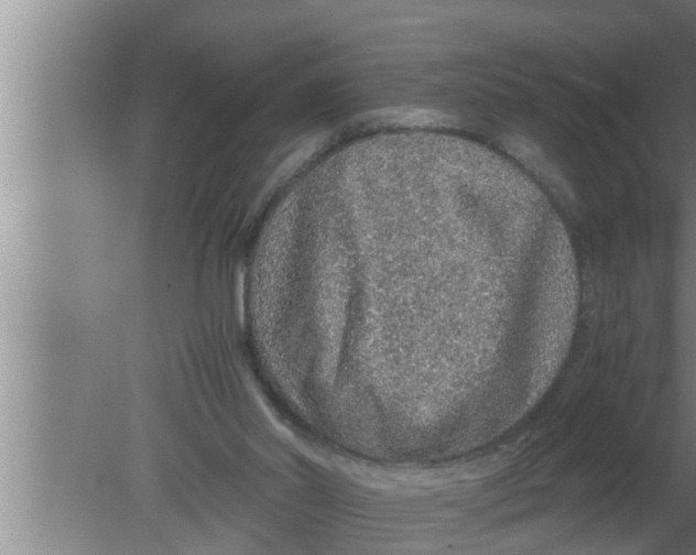 X0000080160014200612302205