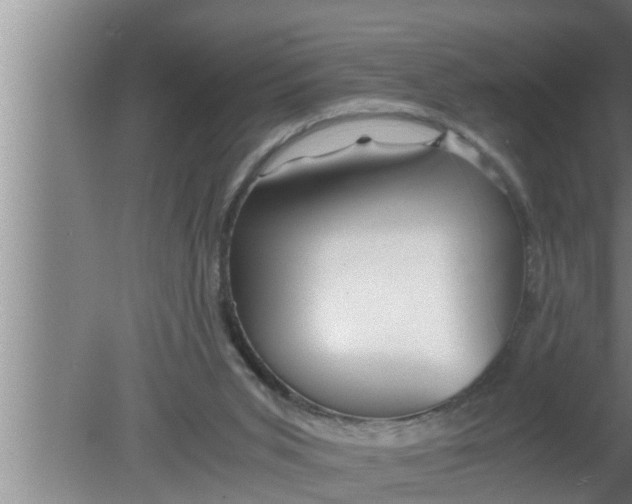 X0000080160015200612302205