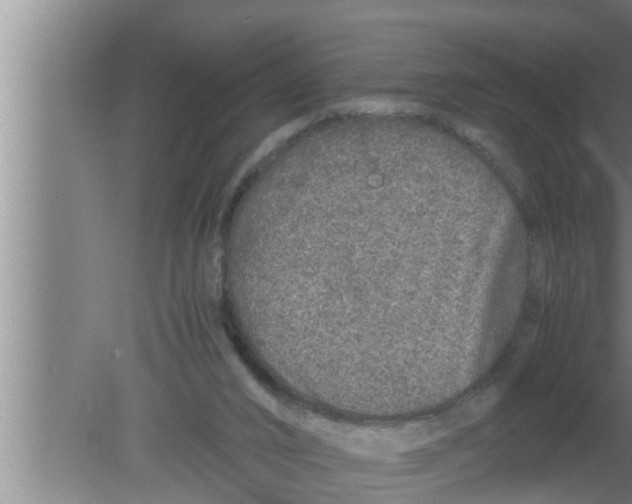 X0000080160016200612302205