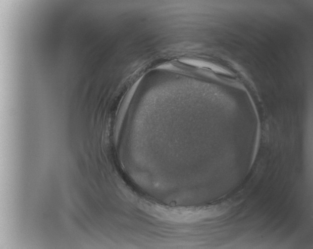 X0000080160018200612302205