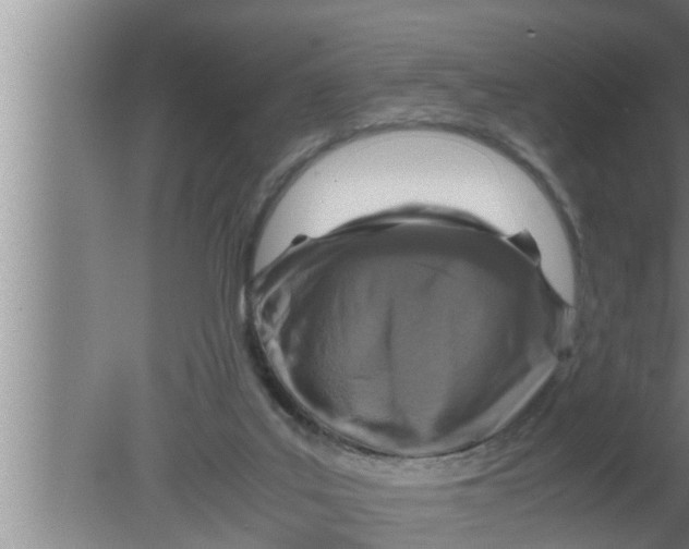 X0000080160019200612302205