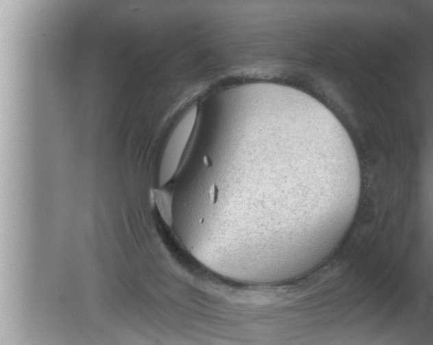 X0000080160020200612302205