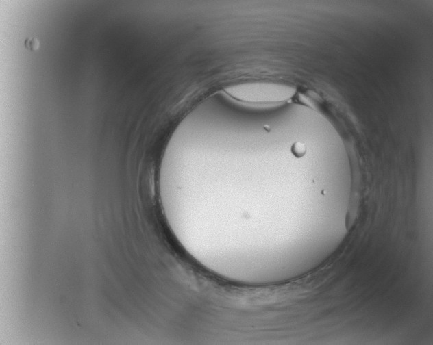 X0000080160021200612302205