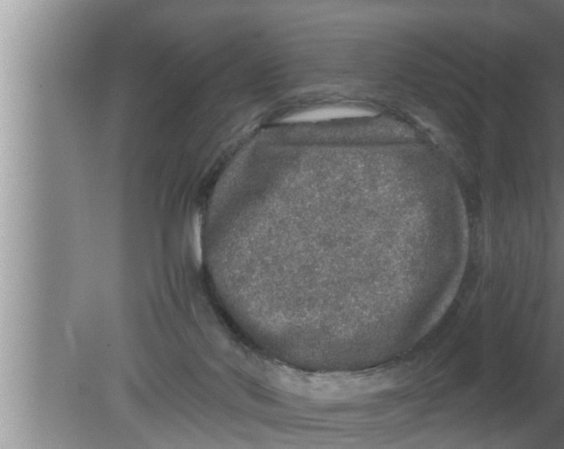 X0000080160022200612302205