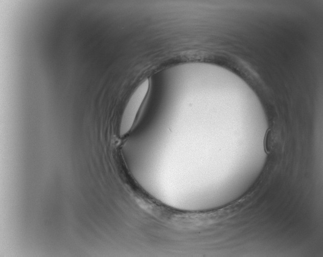 X0000080160025200612302205