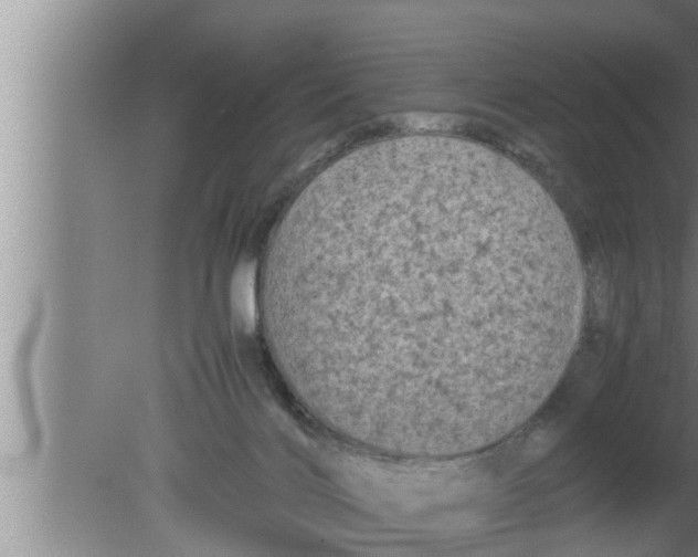 X0000080160028200612302205