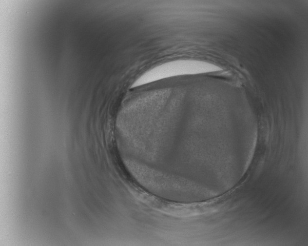 X0000080160029200612302205