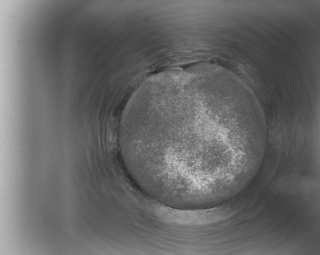 X0000080160030200612302205