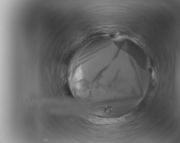 X0000080160031200612302205