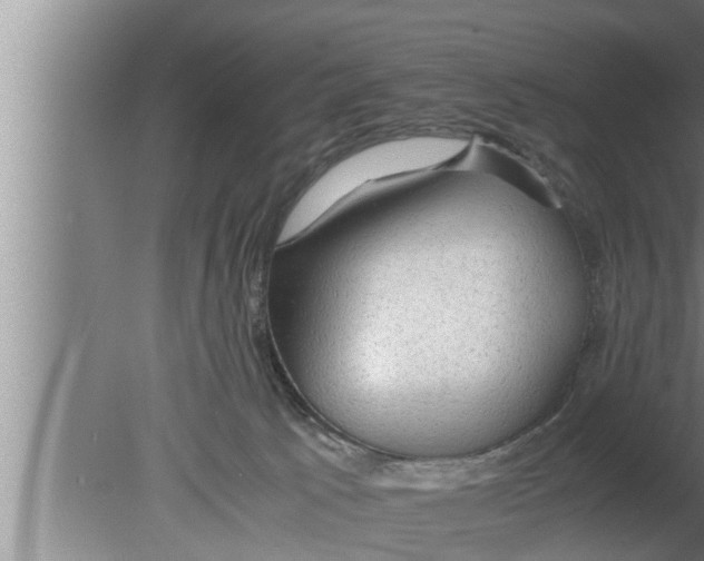 X0000080160033200612302205