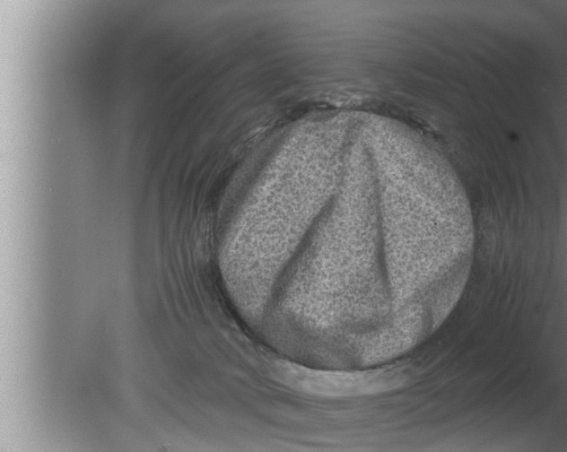 X0000080160034200612302205