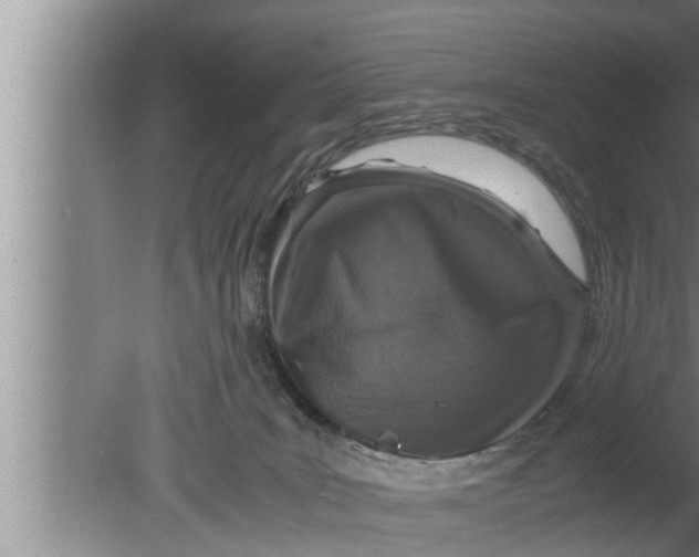 X0000080160035200612302205