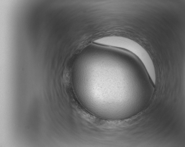 X0000080160037200612302205