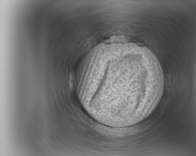 X0000080160038200612302205