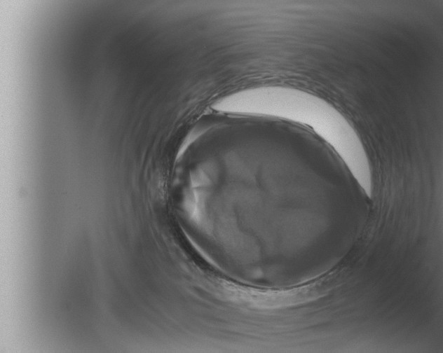 X0000080160039200612302205