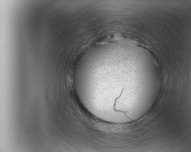 X0000080160040200612302205